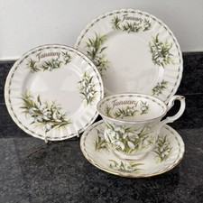 royal albert flower of the