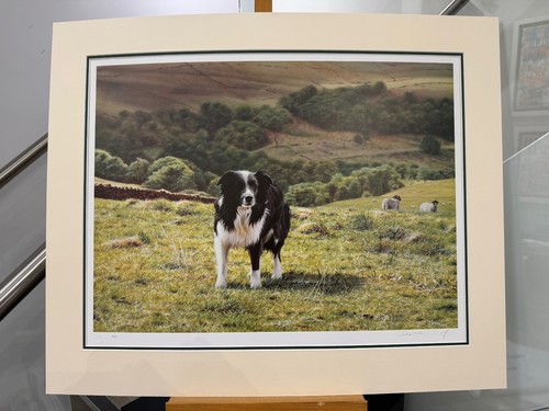 Steven townsend bens valley - -,
