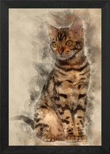 Bengal kitten 4 months old