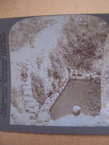 Stereoscopic stereo view - stereoscopic, stereo-view