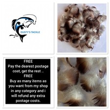 Mallard Duck Feathers  Neck