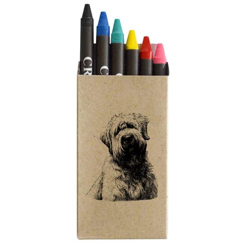 Soft coated wheaten terrier - 'soft,