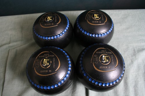 Taylor blaze size bowls - taylor, 5