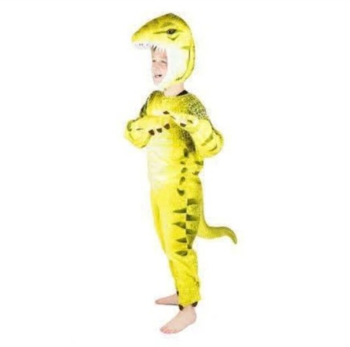 Kids dinosaur dress - kids,