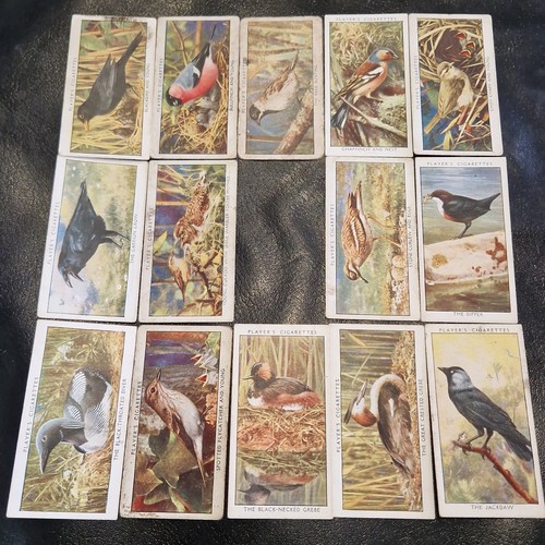 Player 1932 wild - 1932,