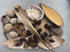 Botanicals for shrimp fish fry - botanicals,