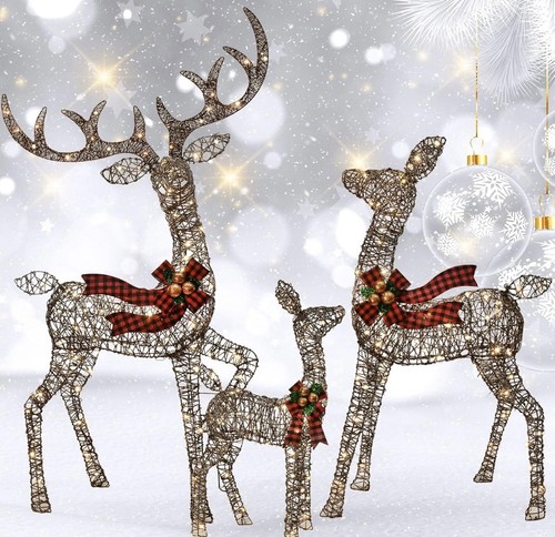 Outdoor christmas decoration - outdoor,