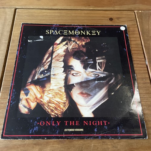 Space monkey only the night - space,