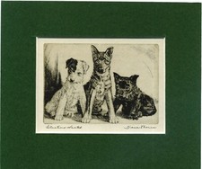 ~ Fox, Scottish Terrier & Alsatian Puppies ~ Diana Thorne Genuine Vintage 1935