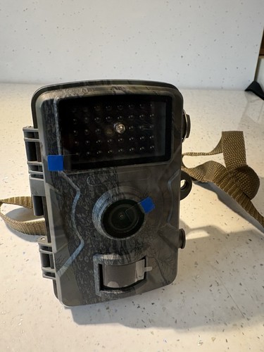Trail camera wildlife - trail,