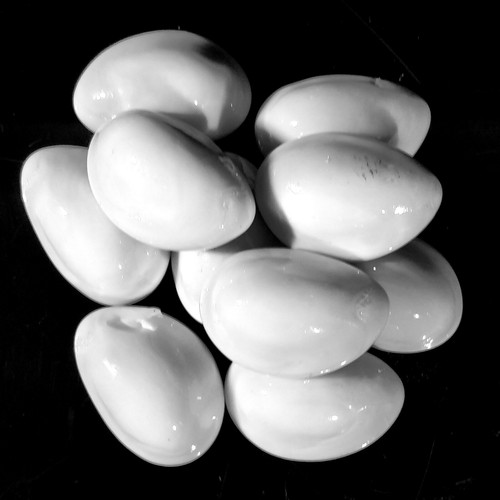 10x highly polished - 10x,