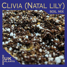 CLIVIA MINIATA Soil Mix