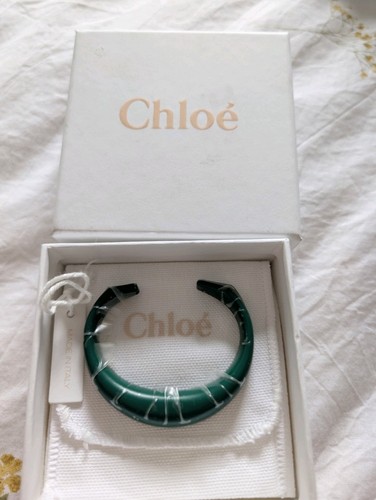 Chloe perso woodsy green bag - c,