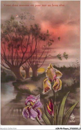 Ajrp9 0885 flowers your - ajrp9-0885,