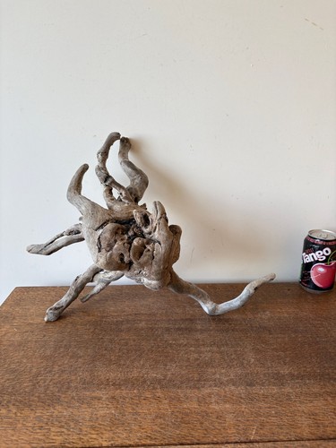 Driftwood piece root tangle - driftwood,