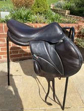 Voltaire Saddle, Lexington