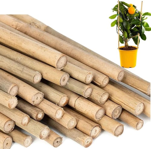 Bamboo canes garden 90cm - x,