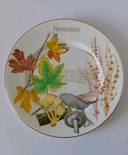 Caverswall China ~ Wall Plate