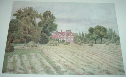 1908 color print - color,