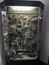 Full Size terrarium vivarium Setup With Cabinet, Frog, Reptile, Gecko