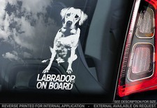Labrador Retriever - Car