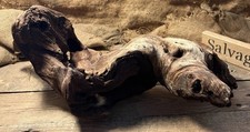 Large Aquarium Driftwood