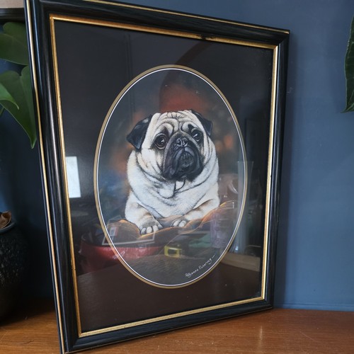 Vintage framed pug dog - pug,