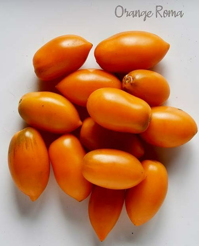 Orange roma tomato seeds - 15,