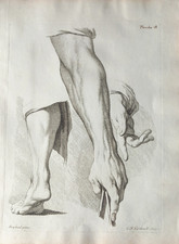 18thC OLD MASTER PRINT: THE