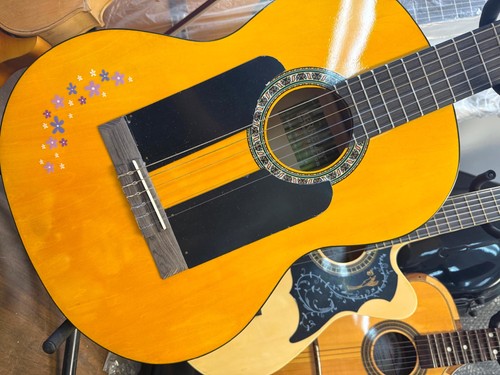 Acoustic classical guitar - classical, 5