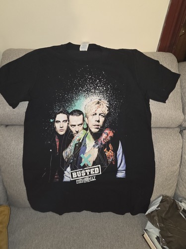 Busted pigs can fly - busted, tour