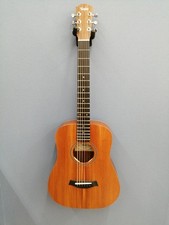 Taylor bt2e acoustic - taylor, electric