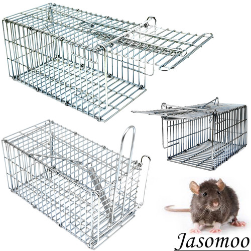 Mouse trap humane live - 1,