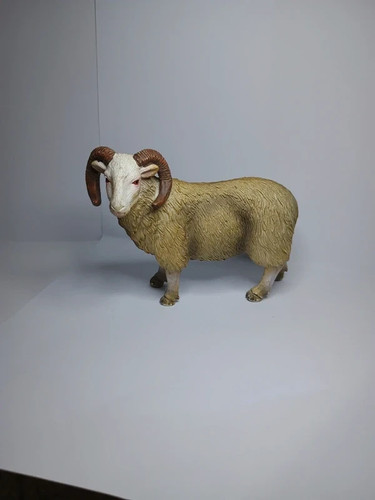 Ram sheep farmyard - , animal