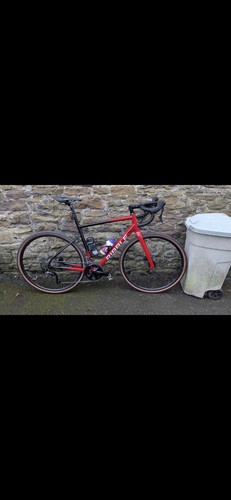 Ribble cgr all rounder - cgr,