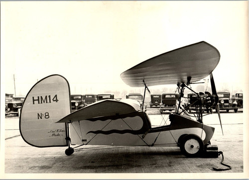 Mignet flying flea plane - flying,