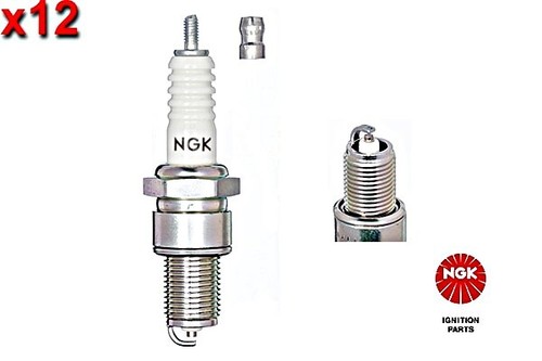 12x spark plug ngk fits - fits, alfa