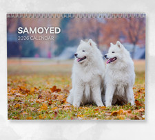 Samoyed Calendar 2026: Monthly