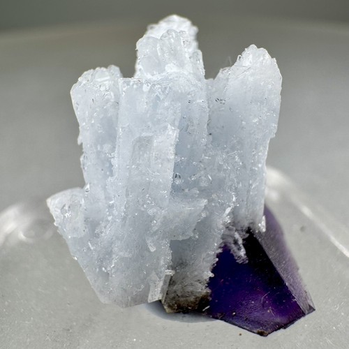 Nice celestine fluorite - celestine, &