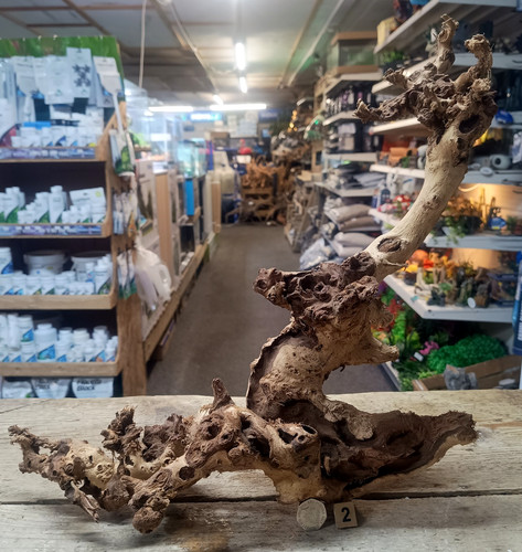 Gnarly scapers wood - gnarly, aquarium