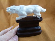 (saber-4) wild sabertooth