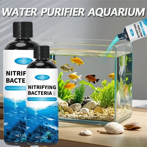 300ml nitrifying bacteria - nitrifying,