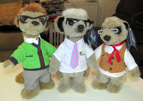 Meerkat soft toy bundle - toy,
