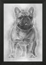 French Bulldog puppy 4 mon