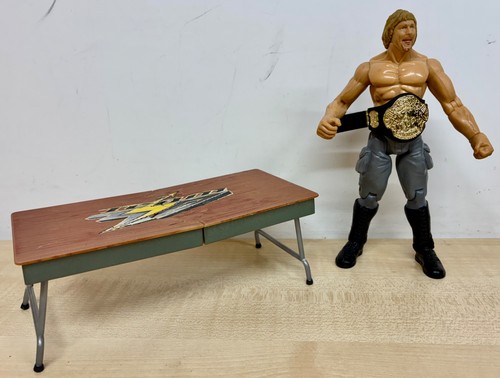 Wwe spike dudley action - -,