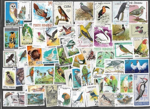 Birds the world 300 all - of,