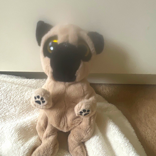 Pug dog plush soft toy - dog,