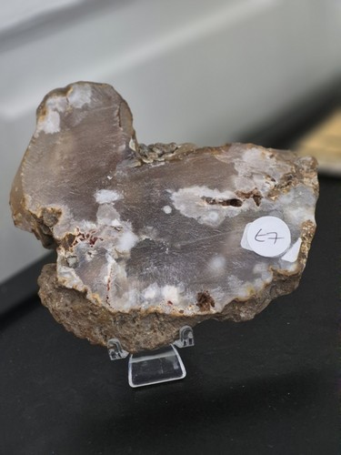 Flower agate slice - agate, with