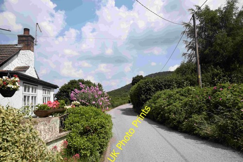 Photo roadside cottage with - cottage,