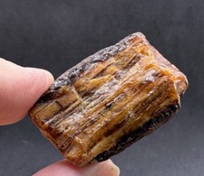 Natural rough raw amber from - rough,